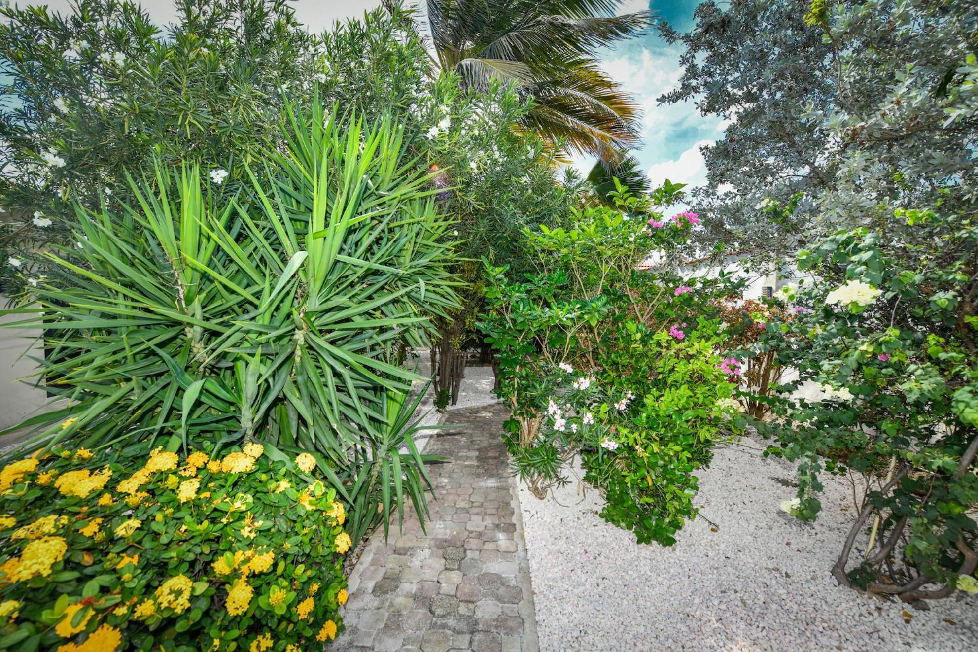 Aloe B&B Oranjestad Esterno foto