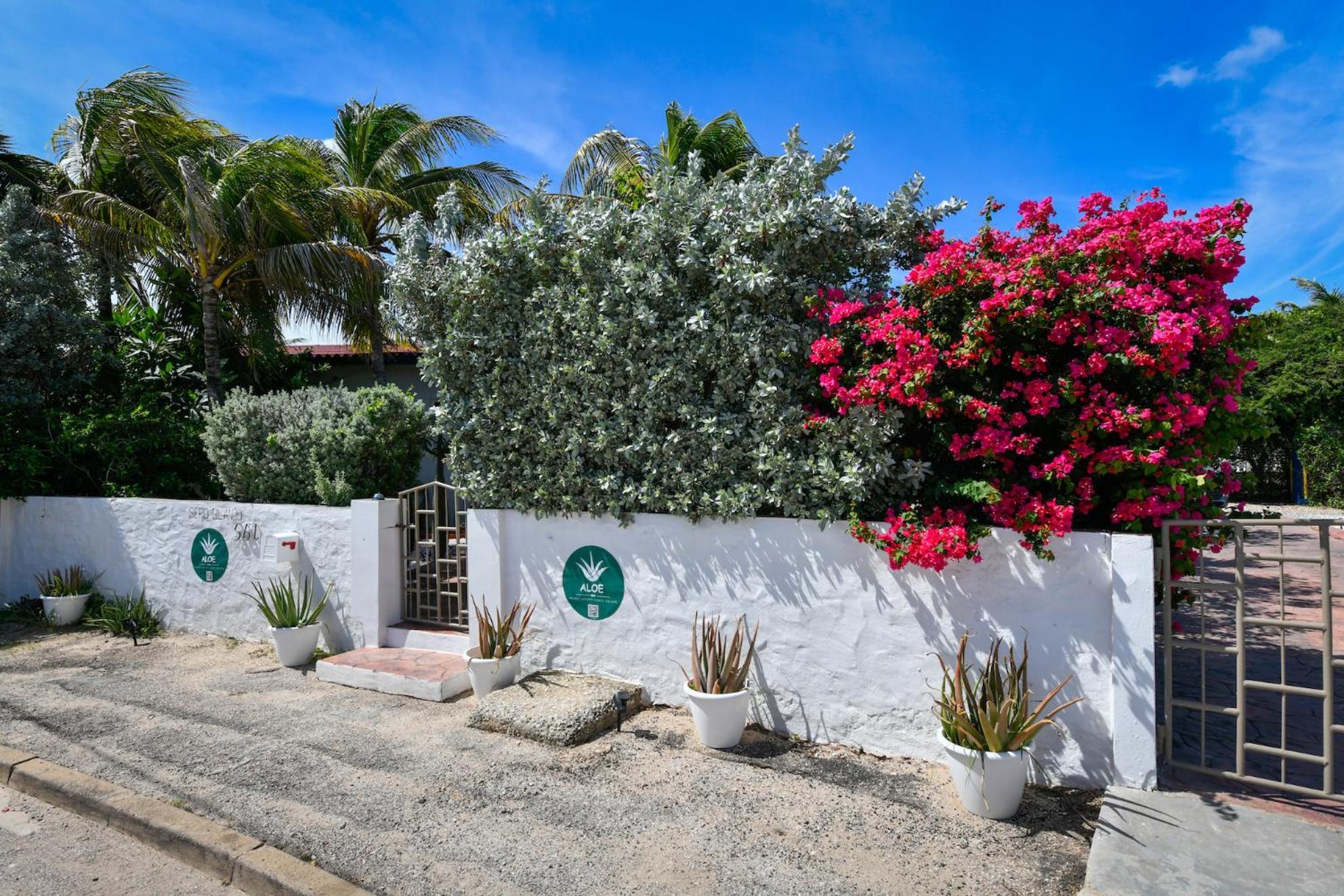 Aloe B&B Oranjestad Esterno foto